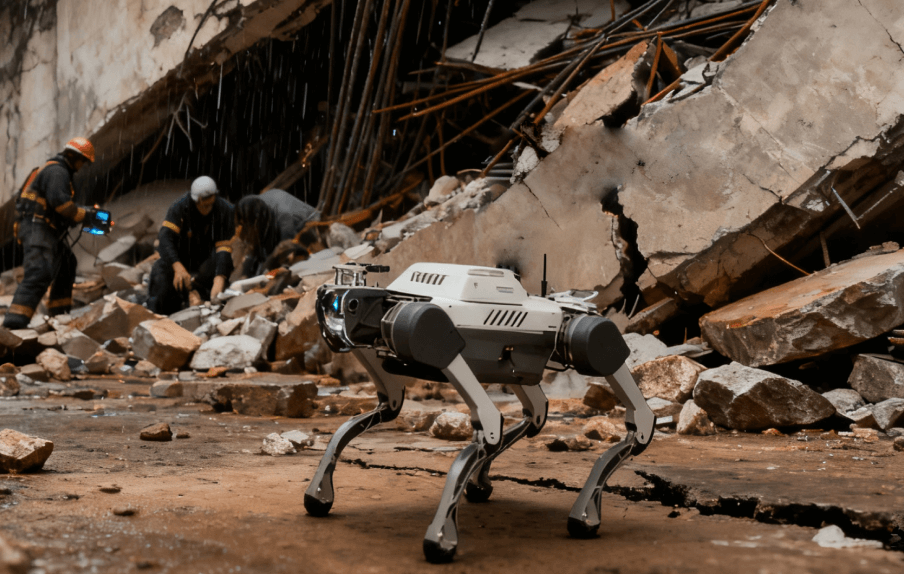 灾后救援-Z6·尊龙凯时科技